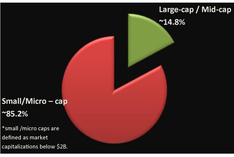 chart-website-large-cap-vs-small-cap-june-2017-first-wilshire